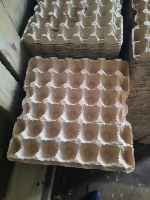 В продаже лотки яичные