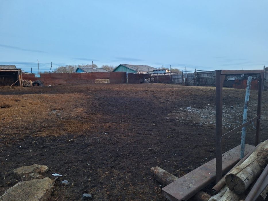 Продам дом и все остальное вместе  , есть торг