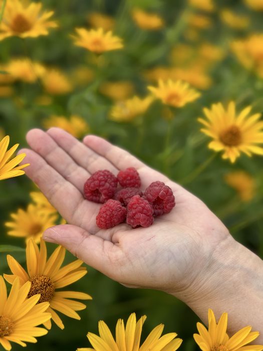 Продам дачный участок(дачу)!