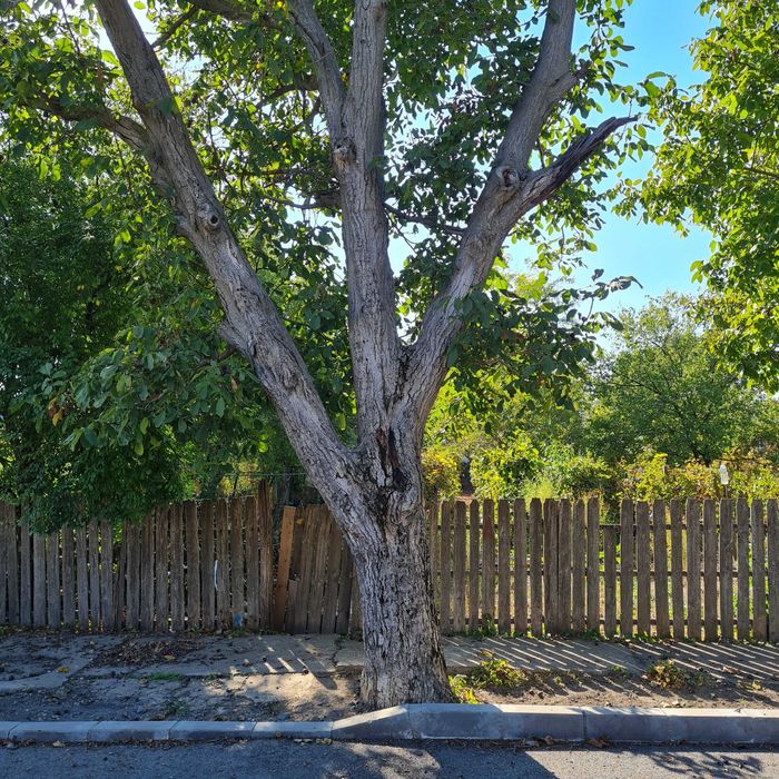 CASA DE VANZARE TANDAREI (Str. Garii,cu teren 1600mp)