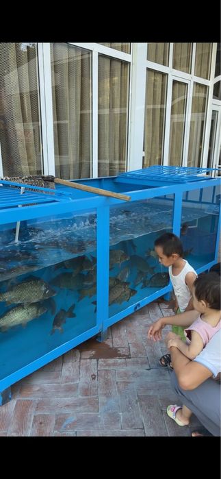 Аквариум баликлар учун  3x1x1 3 тонналик