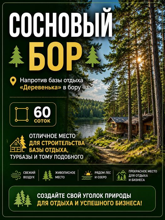 Участок Сосновый Бор