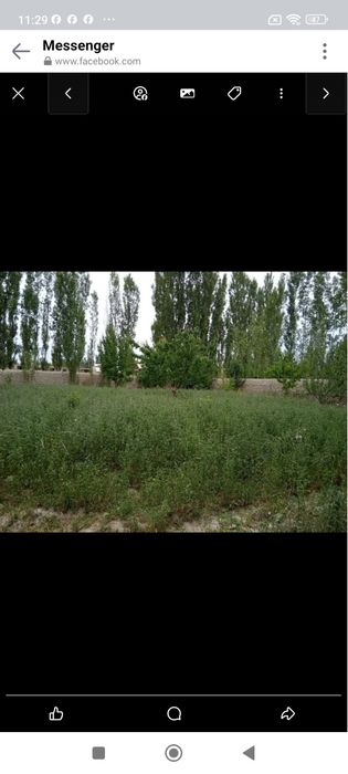 Продам свою участок