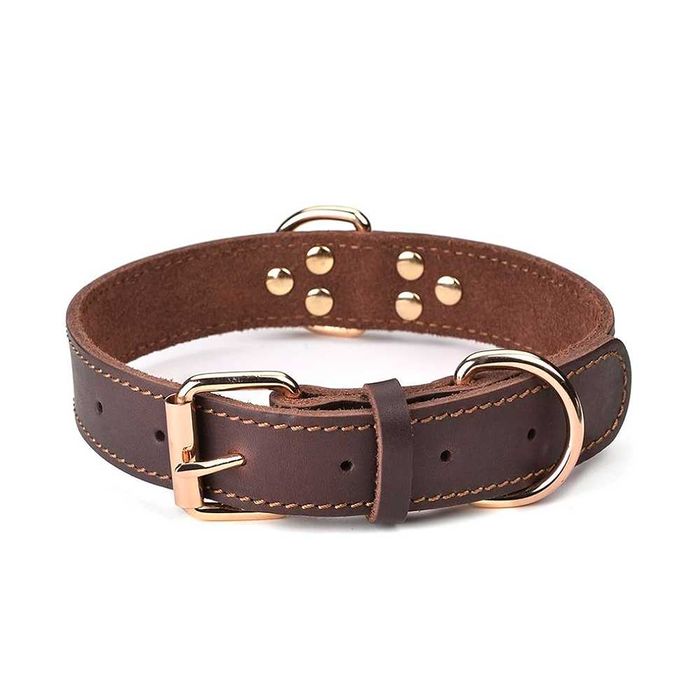Ошейник кожаный — классический для собак