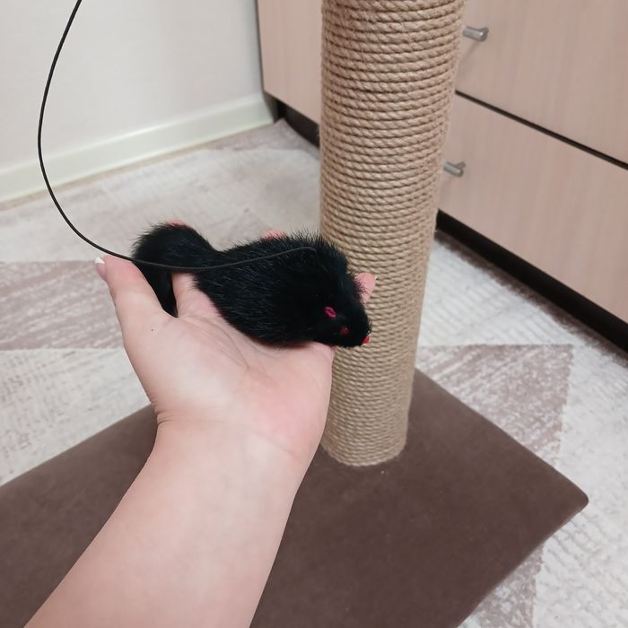 Когтеточки и пуфики!!!