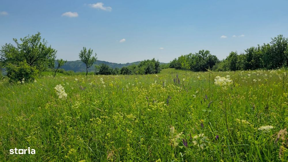 Teren de vânzare 6.352 mp – Slavu (Prahova), extravilan, drum de câmp