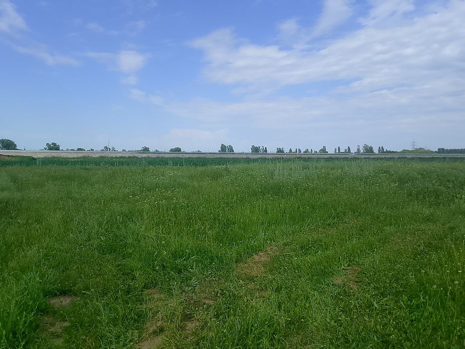 Продам земля поселок белбулак