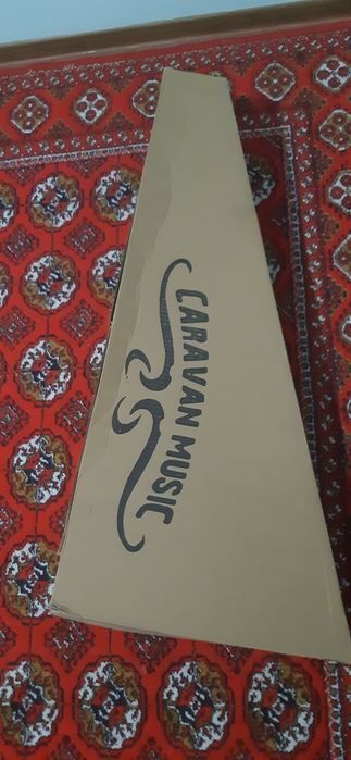 Akustik Gitara Cowboy