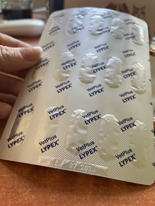 Enzime digestive Lypex, 60 capsule