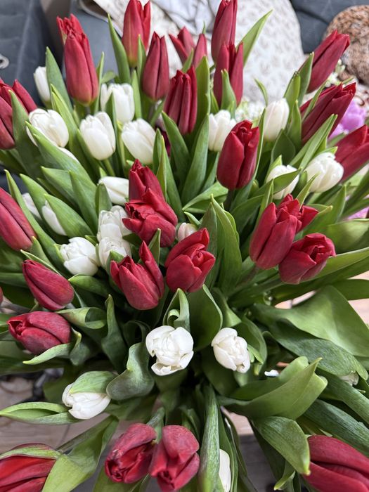 Тюльпаны букет 71 шт