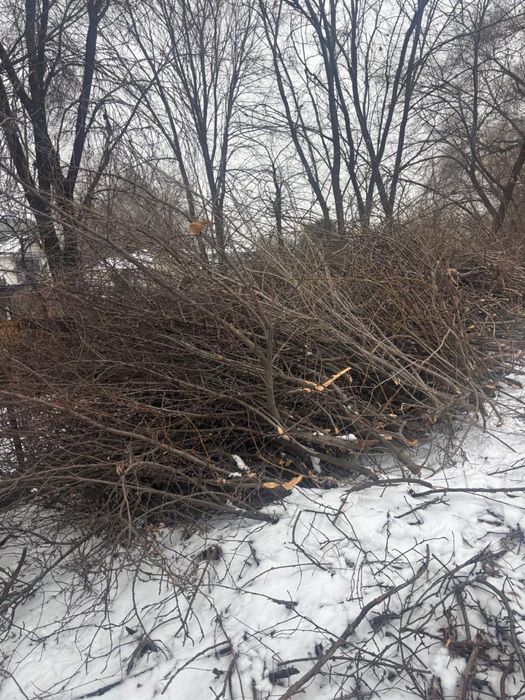 Отын тегін/ дрова бесплатно Развилка