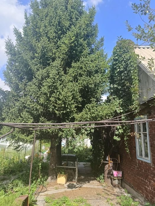 Продам дачу зимний вариант