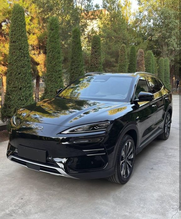 Byd chempion smart