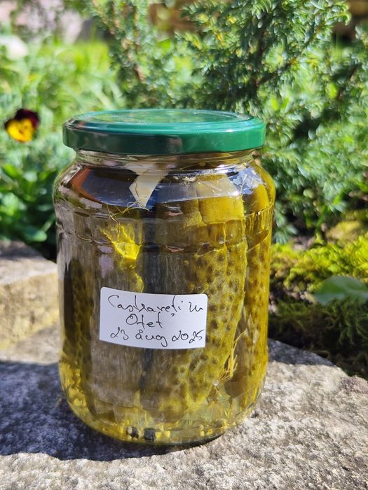 Zacusca, murături și alte conserve pt iarna