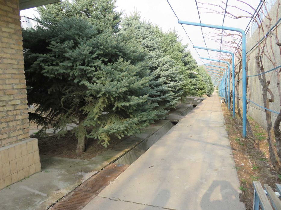 Ер сотилади, участок зона отдыха 2,5 га Бустонлик Ходжикент