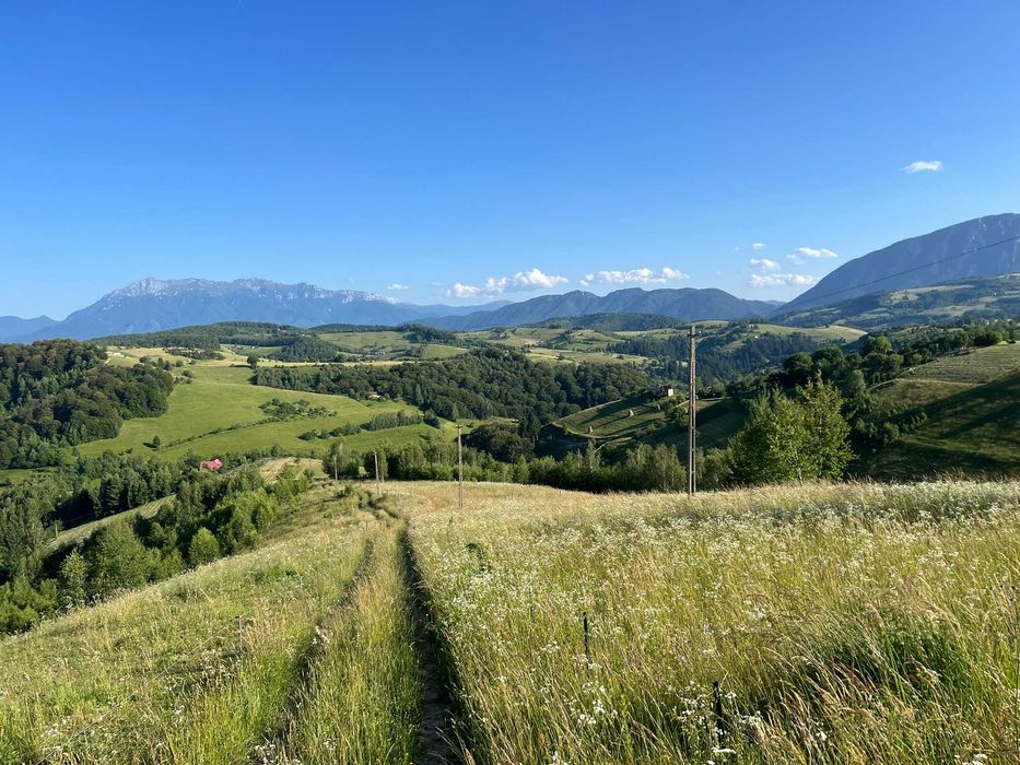 Teren Poiana Marului - Intravilan - PUZ - Cu utilitati