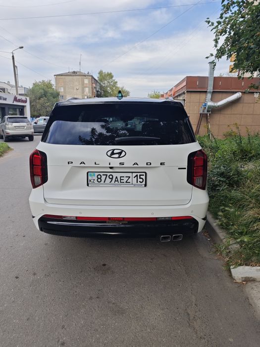 Hyundai Palisade Calligraphy