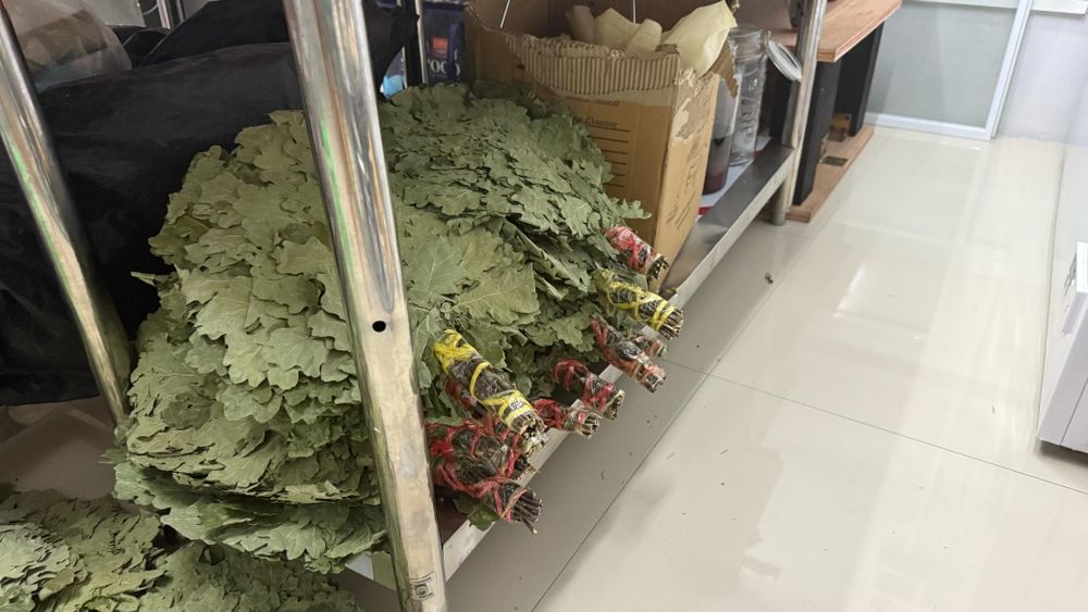 Веники для баня  краснодарскии