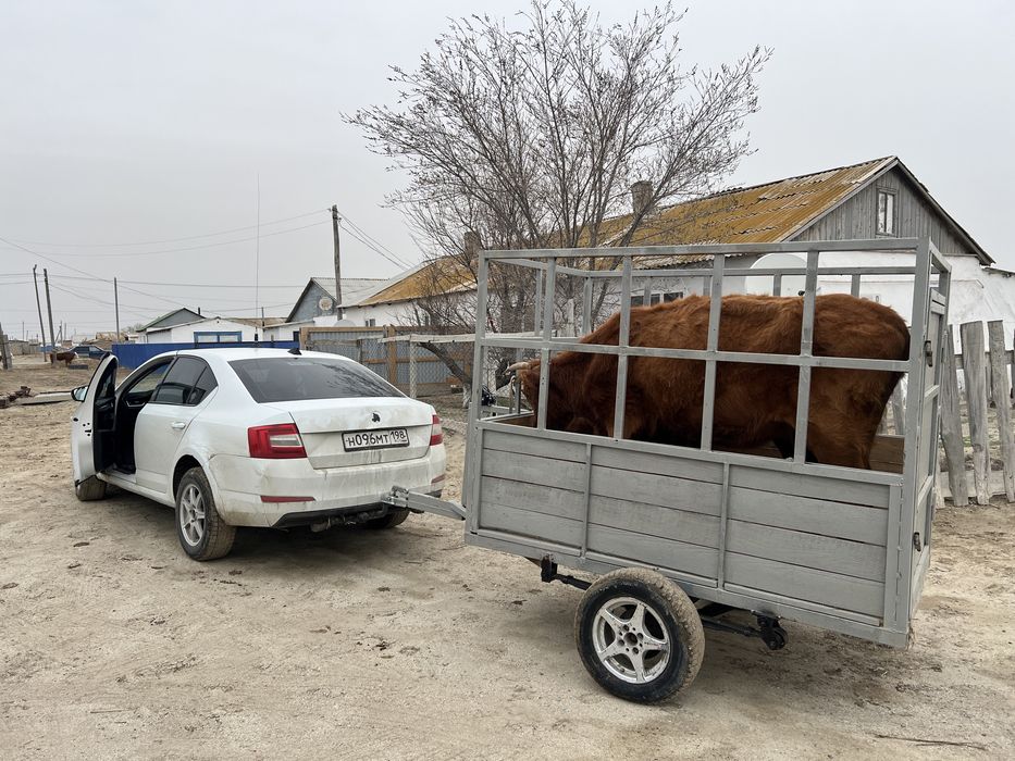 Прицеп для перевозки скота