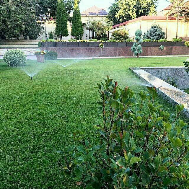 Полив газон под ключ