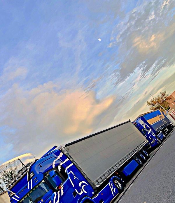 Semiremorca Schmitz Cargobull Standard