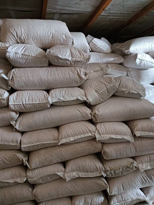 Porumb și grâu de vânzare cu transport gratuit