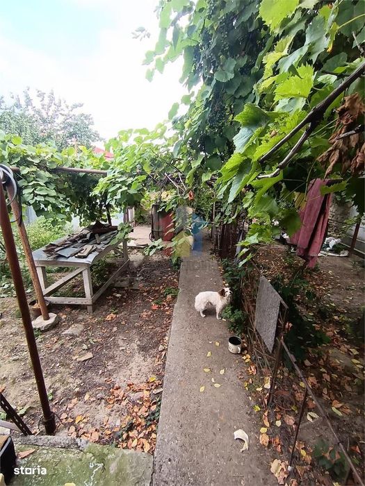 Casa  Boiereasca 3 camere caramida si boltari zona Centrala Brainconf