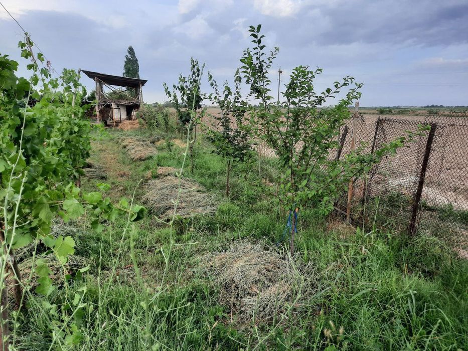 Uy-uchastka sotiladi
