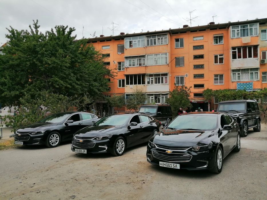 Туй ва маросимлар учун малибу 2 хизматингизда