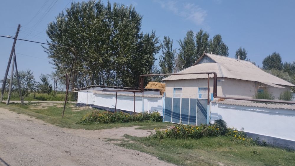 Уй сотилади 1 та Уй нархига 2 та уй зор уй зор нарх