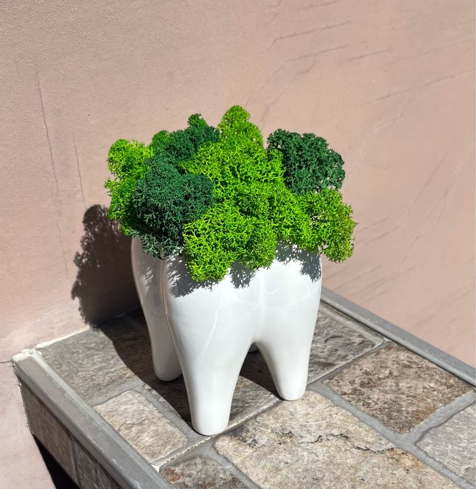 Керамична кашпа със скандинавски мъх форма на зъб