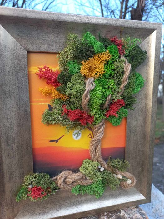 Скандинавски мъх, картини, украси