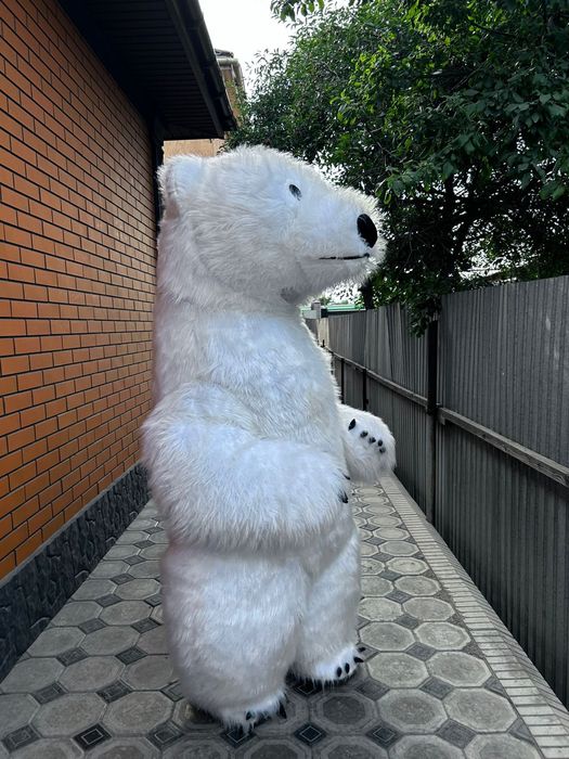 Продаётся или в аренду мишка