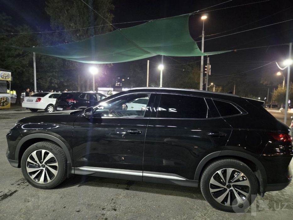 Byd champion 605 toza