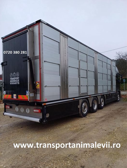Transport animale vii autorizat orinde in Romania/ international