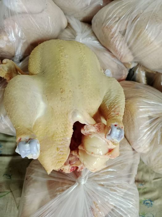 Бройлеры домашний