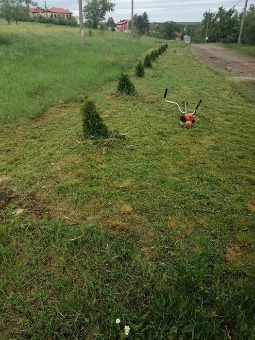 Почистваме мазета и градини