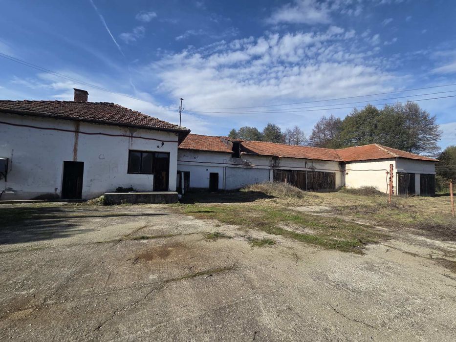 Мандра с.Ваксево обл.Кюстендил