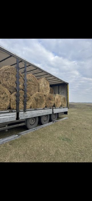 Baloti lucerna or fan.Rotunzi min.40.Dreptunghiulari.500.Transport inc