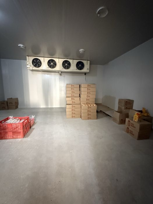 Сдается в Аренду Холодильник 40м2