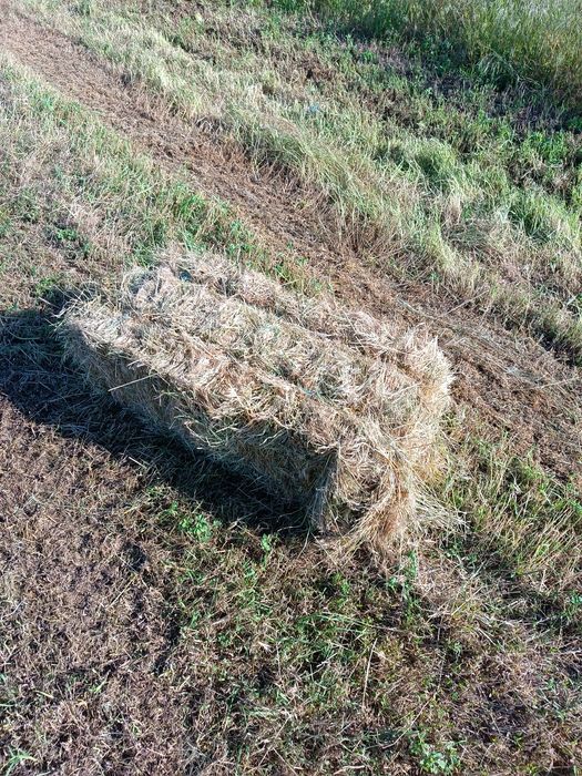 Baloți de iarbă pentru caii