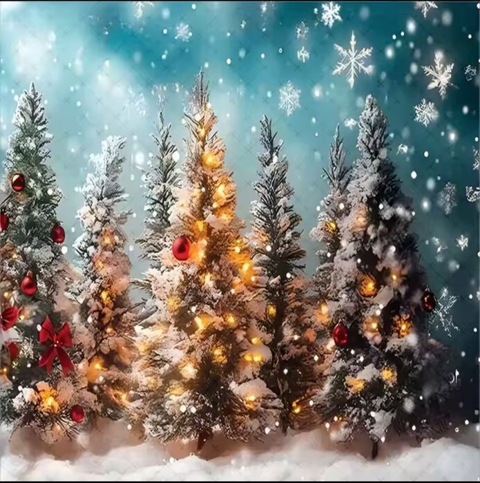 Panza Decor Crăciun