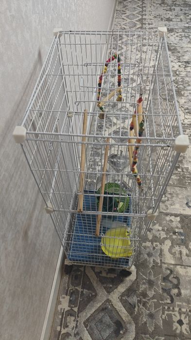 Продам клетку большую для птиц