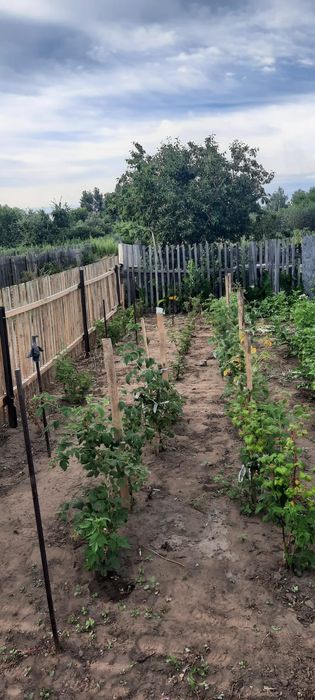 Продам дачу сад Здоровье
