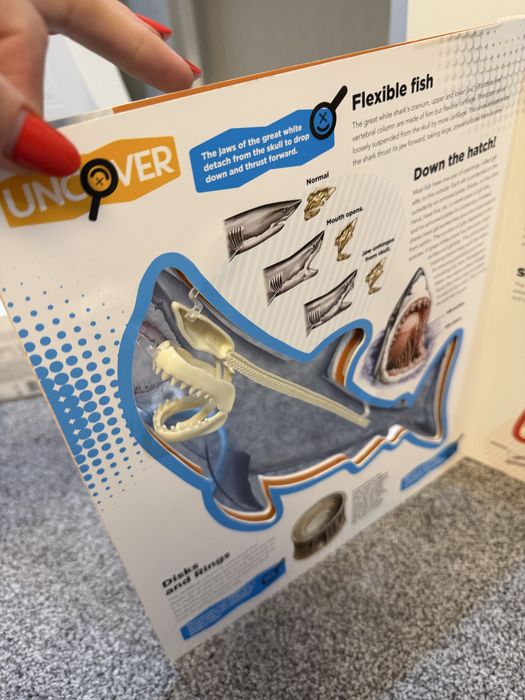 Enciclopedie rechin engleza