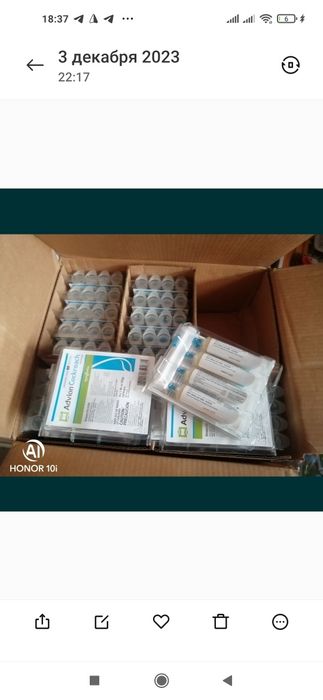 Optim:Tarakan dori,Таракан дори