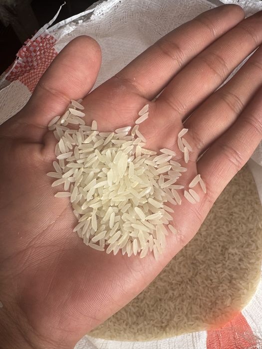 Күріш Лазер сатылады