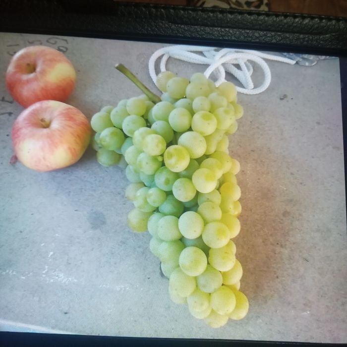 Продам чебуки винограда.