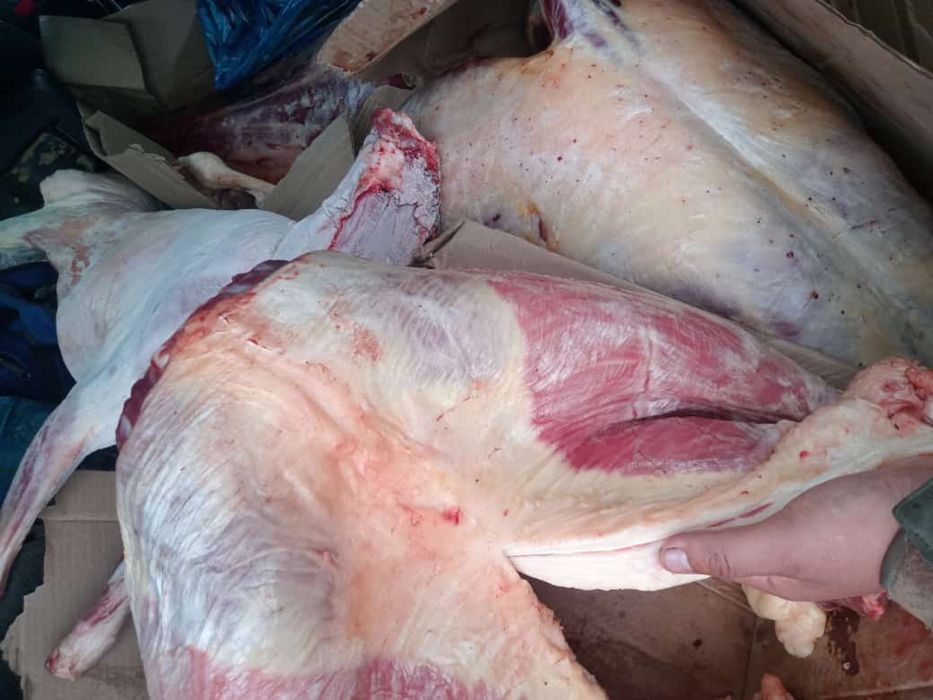 Қасапшы на Ет бұзу