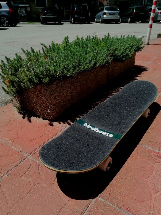 Скейтборд Birdhouse Tony Hawk